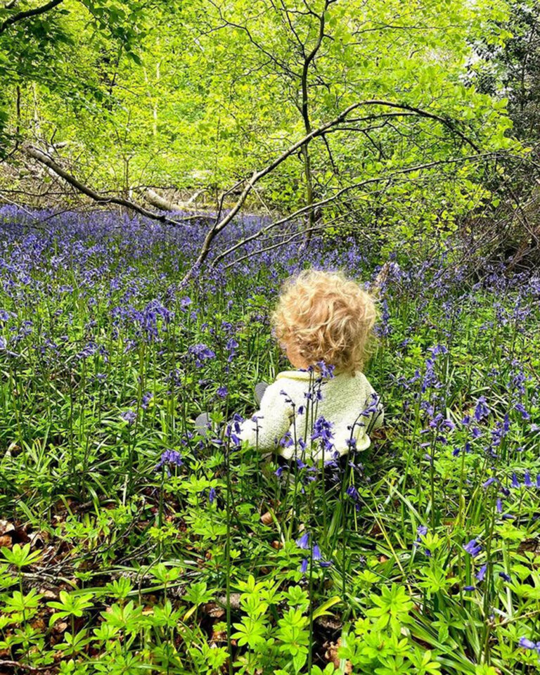 Boris Johnson’s son Wilfred surrounded by bluebells in adorable pic shared on same day as couple’s…