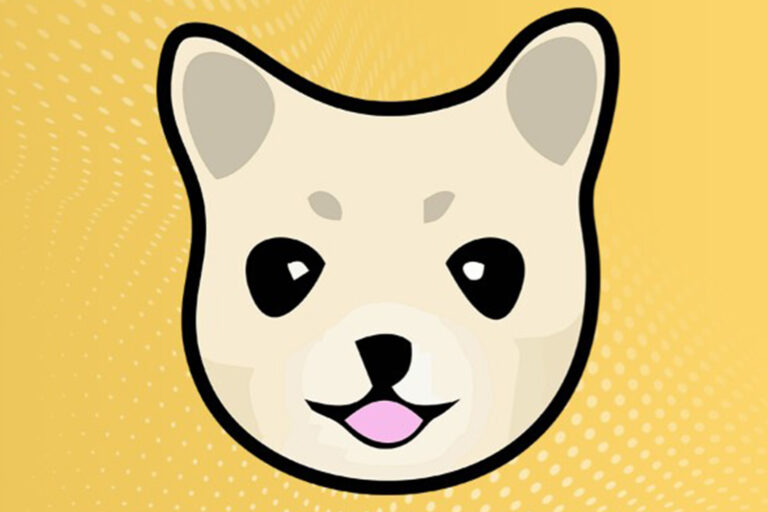 How risky is Kishu Inu and why is the price going up?