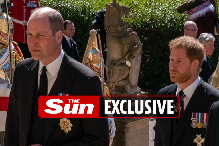 Harry and William to give separate speeches at Diana’s statue unveiling as rift continues
