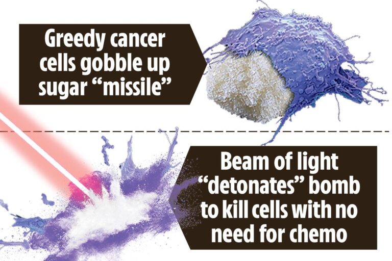 Brit scientists invent ‘sugar bomb’ which destroys greedy cancer cells in seconds