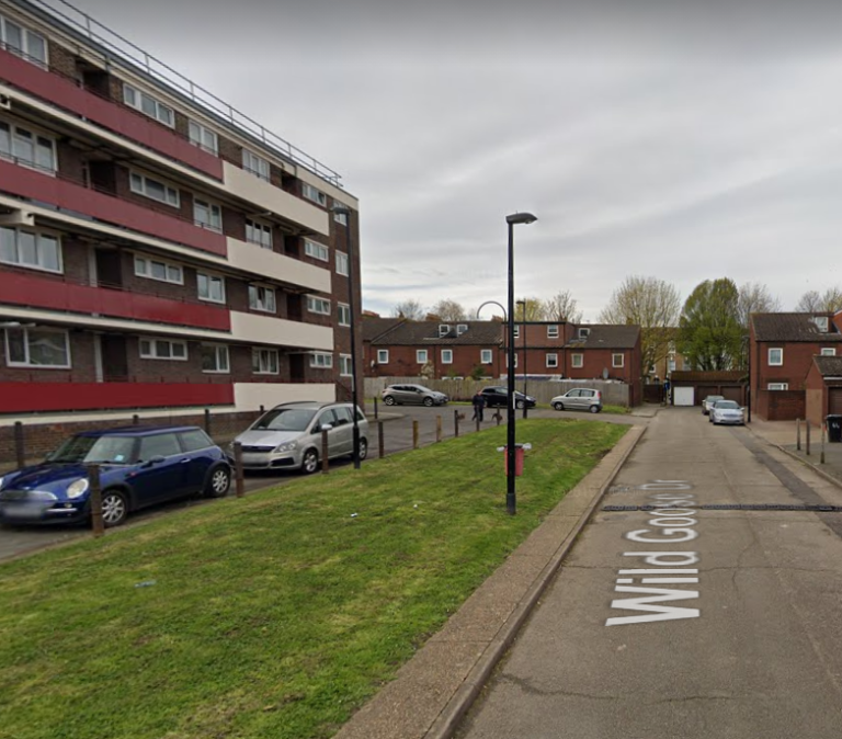 Pensioner, 74, found stabbed to death at home in South East London as cops arrest man, 23, on…