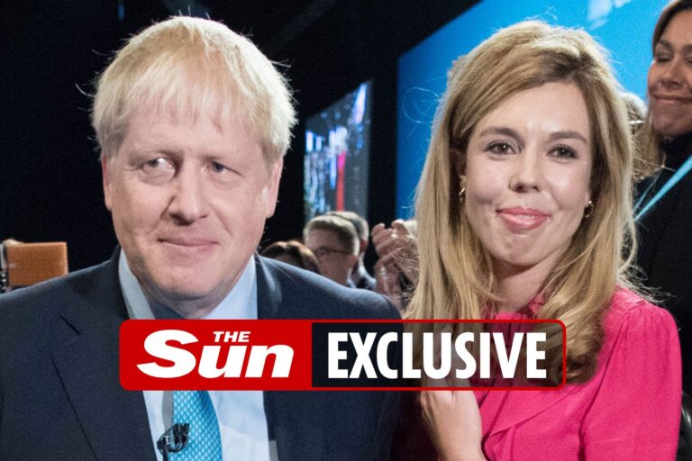 Boris Johnson and Carrie Symonds ‘will celebrate their wedding’ next summer