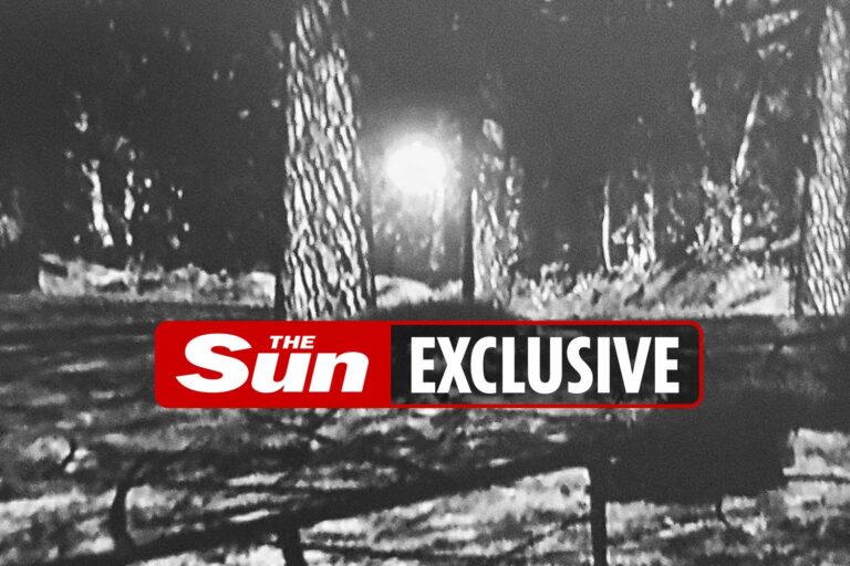 First ever ‘photos of Britain’s biggest UFO sighting show huge orb flying through woods with beam of…