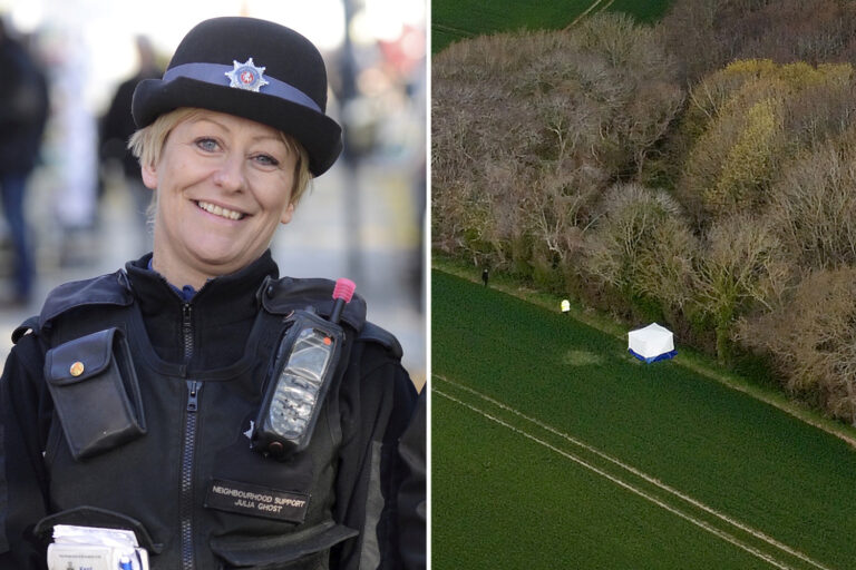 PCSO Julia James’ murder: Cops arrest man 11 days after mum-of-two killed on dog walk