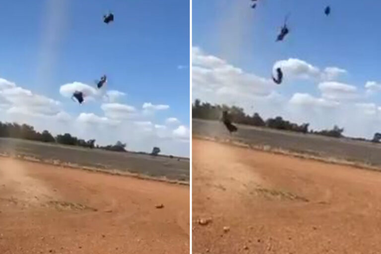 Horror as mice rain FROM THE SKY while Australia fights worse rodent plague in decades leaving…