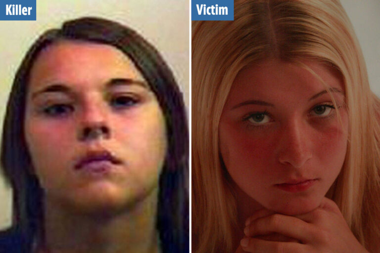 Teen killer who stabbed new mum to death in frenzied attack at 15 is back in jail less than 6 months…