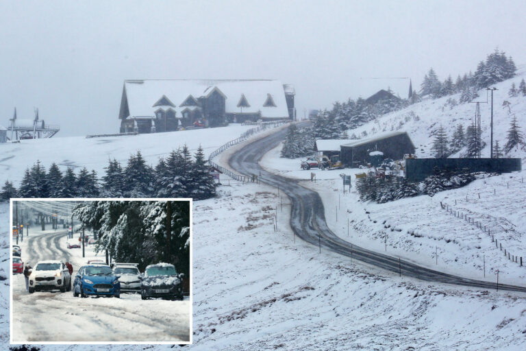 Heavy snow set to blanket parts of England next week as icy blast sweeps country