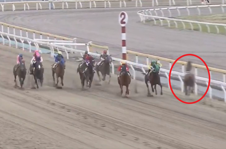 Watch terrifying moment loose horse running WRONG WAY charges into others mid-race