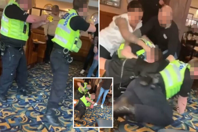 Moment punters clash with cops at Wetherspoons in boozy Bank Holiday bust-up leaving two officers in…