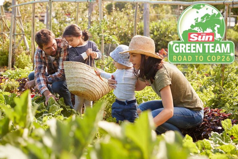 Brits should grow fruit & veg in war effort-style bid to tackle climate change