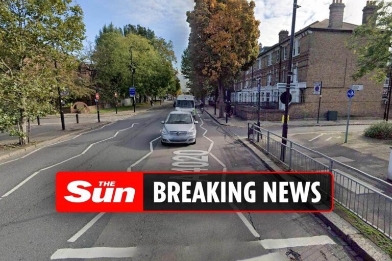 Girl, 2, fighting for life after she was hit by moped while crossing street at traffic lights with…