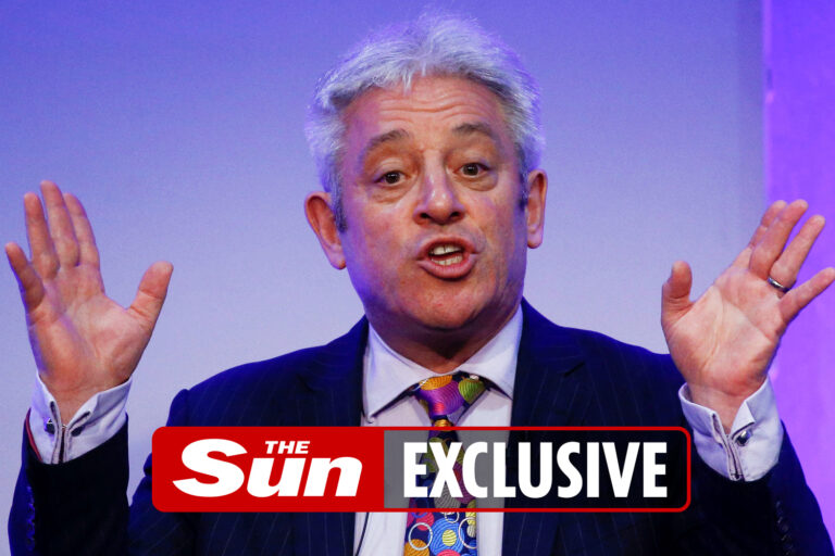 Ex-Commons speaker John Bercow claimed furlough despite firm’s £400k cash