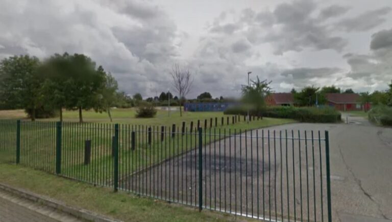 Girl, 13, sat on park swings is left with burns after her hair was set on fire by group of five…