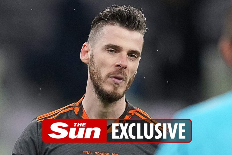 Man Utd keeper David De Gea let down by poor coaching and awful defending, blasts former coach…