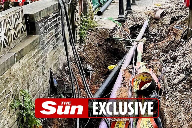 Hundreds of residents struggle to boil kettles after cannabis farm nicks electricity