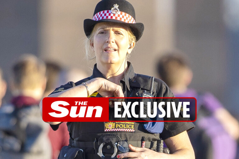 Rod Stewart’s wife and new copper Penny Lancaster tells off a man peeing in street