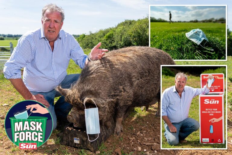 Don’t be a swine. Join The Sun’s Mask Force and recycle that mask today, says Jeremy Clarkson