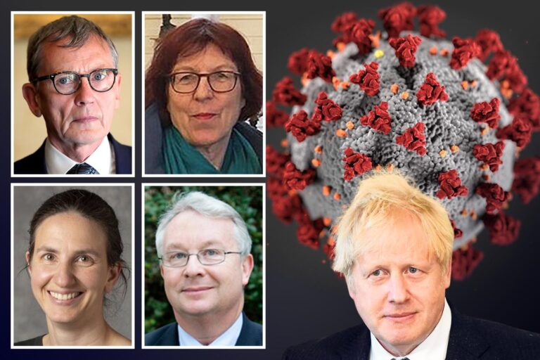 Left-wing bias of scientists on Independent Sage urging for harsher Covid rules