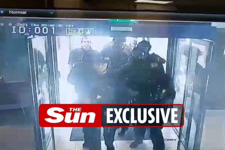 Armed police storm Holiday Inn after man in combat gear drops pistol on floor