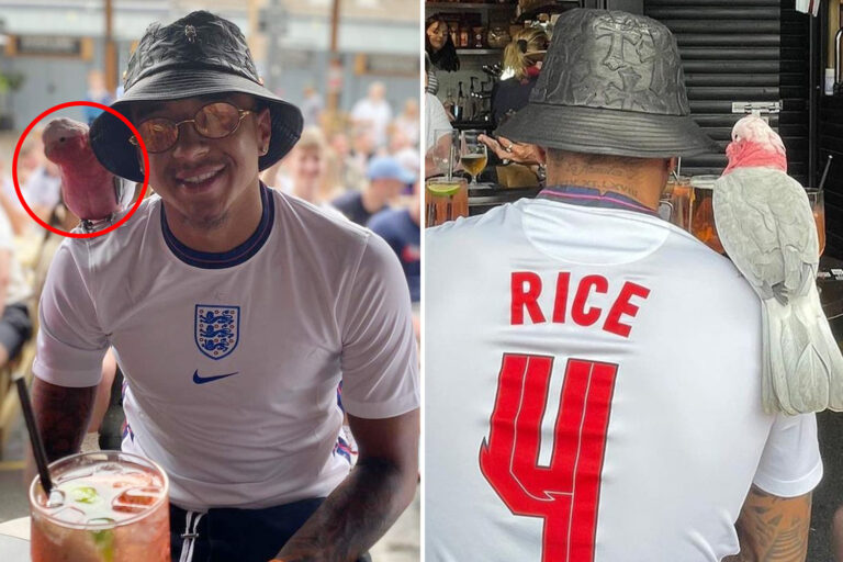 Jesse Lingard wears Declan Rice shirt with PARROT on shoulder in pub as he cheers on England for…