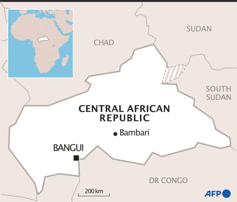 At least 12 killed in Central African Republic road ambush