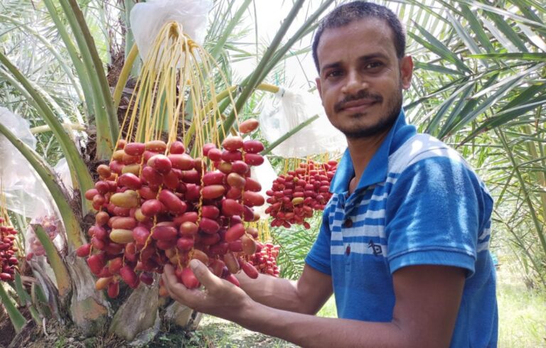 Bangladeshi farmer fights the odds to introduce Saudi dates