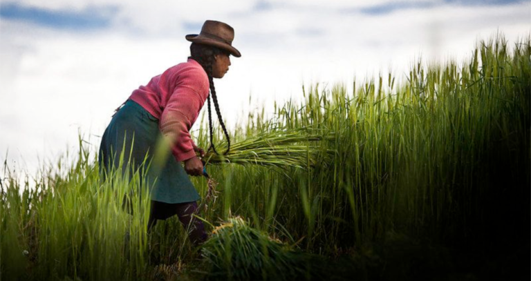 Women take lead in Expo 2020’s Climate and Biodiversity Week