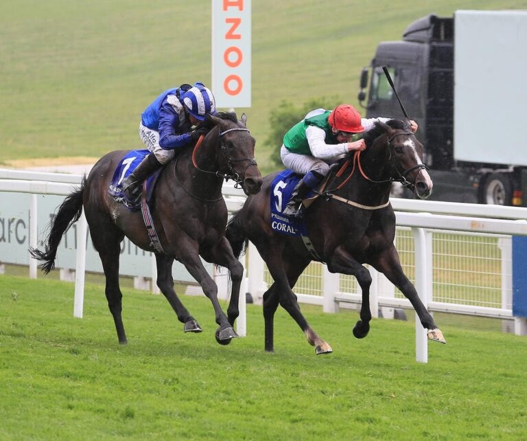 William Muir hopes to lead Pyledriver to the Saudi Cup in February