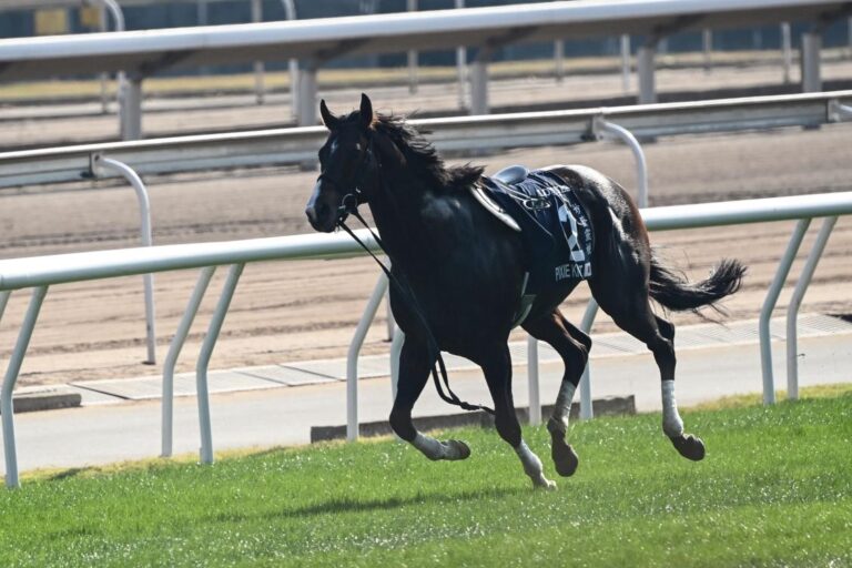 Three jockeys in hospital, two horses die in Hong Kong big race fall