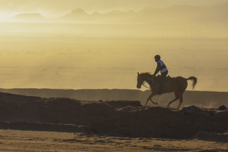 AlUla to host 2 world-class equestrian events in early 2022