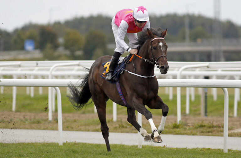 Scandinavian star Square De Luynes on track for Saudi Cup success
