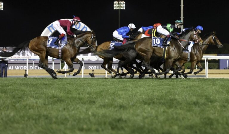 Expectations high for Godolphin in week 2 of Dubai World Cup Carnival