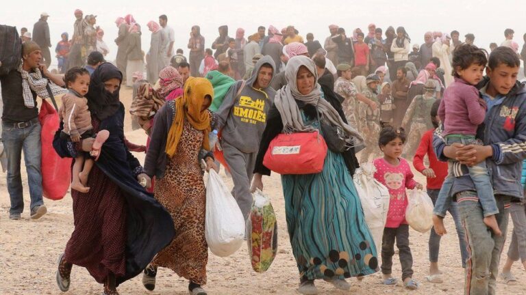 Immigration bill could ‘all but destroy’ safe, legal routes to UK: Charity