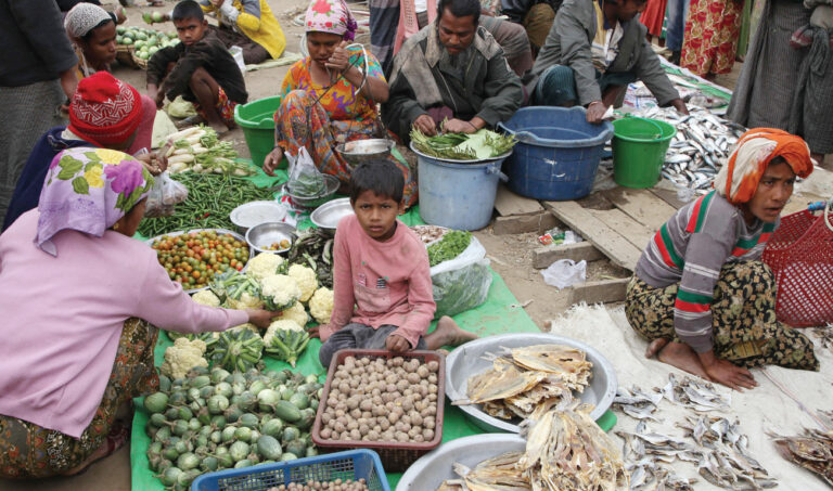 Myanmar troops accused of burning hundreds of homes