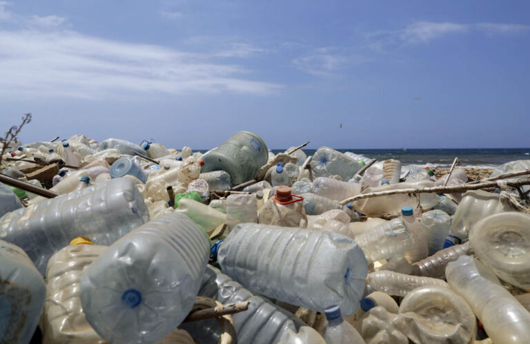 75 percent of people want single-use plastics banned, global survey finds