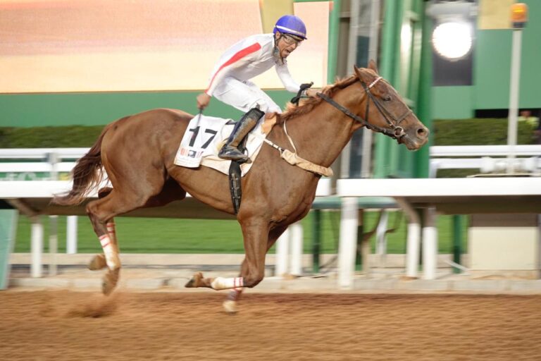 LIVE: Saudi Cup Day Two