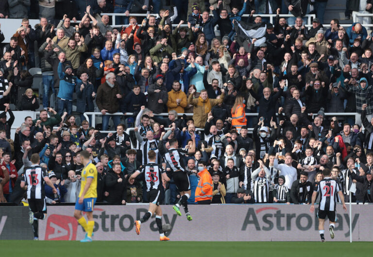 Newcastle overcome Brighton to go 7 points clear of drop zone