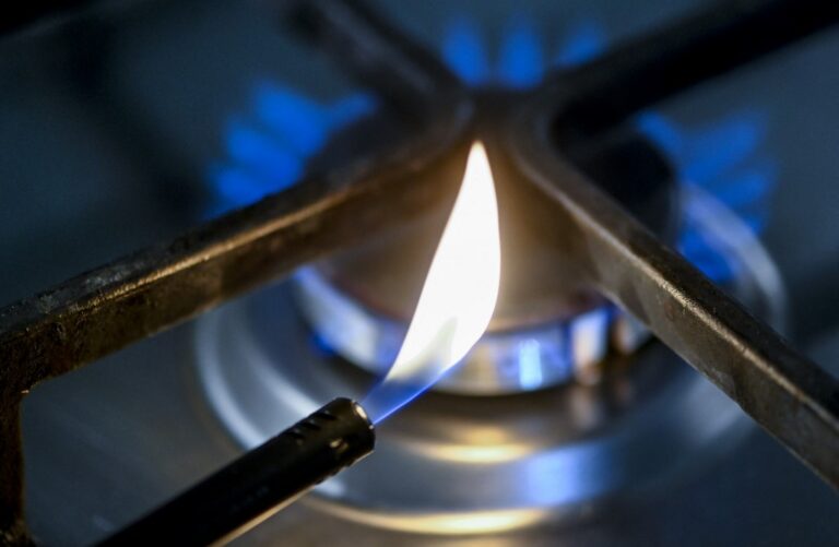 Berlin-Doha energy partnership to help wean Germany off Russian gas