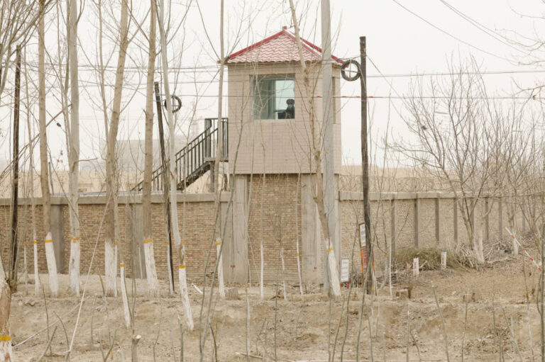 Uyghurs urge UN rights chief to ask hard questions in Xinjiang