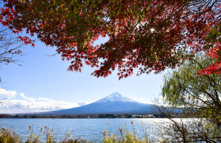 Middle East countries regard Japan highly in opinion poll