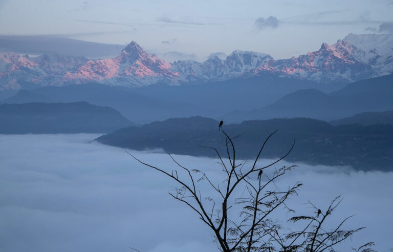 Flight with 22 people on board missing in Nepal: airline