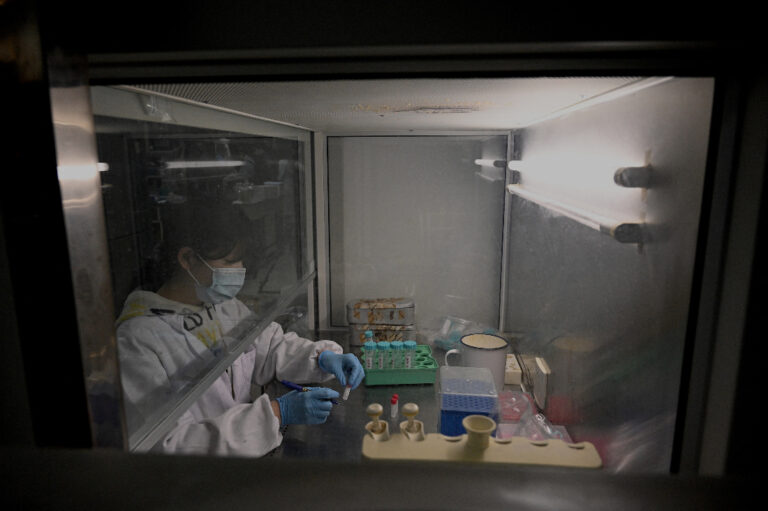 China calls COVID ‘lab leak’ theory a lie after WHO report