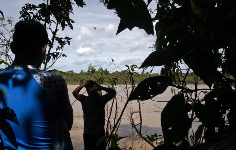 Human remains found in Amazon search for journalist, expert
