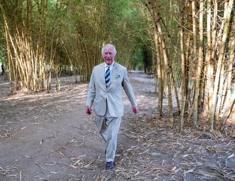 UK’s Boris Johnson to meet Prince Charles in Rwanda amid asylum seekers’ deportation row