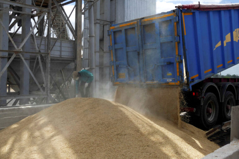 US is spending billions to tackle the global food crisis, official says