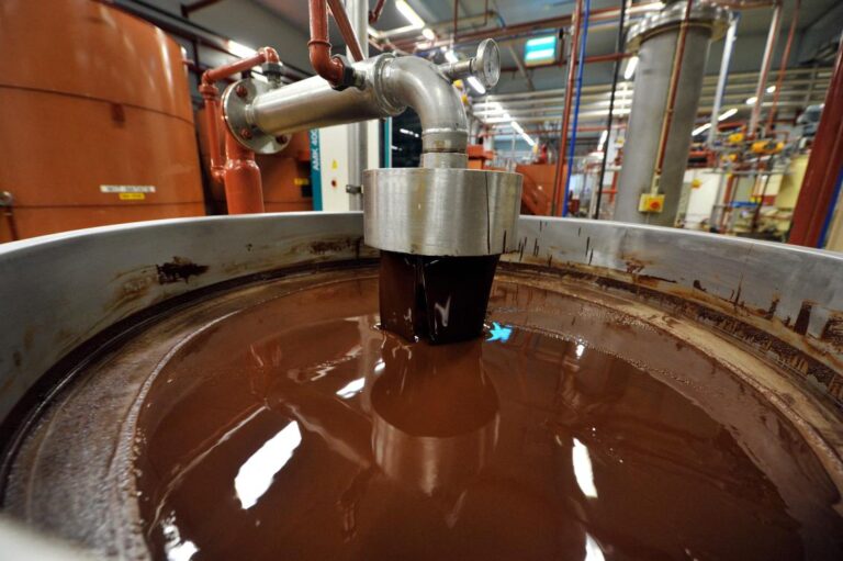Belgium chocolate factory shut after salmonella infection