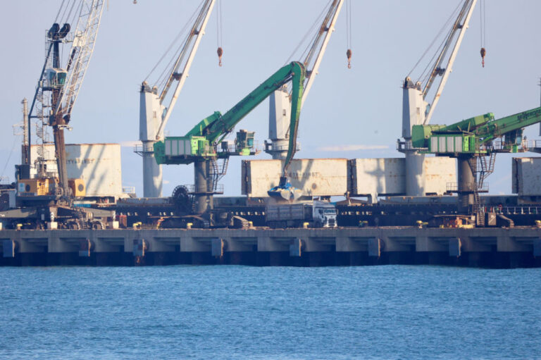 Kyiv asks Turkey to probe three more Russian ships it alleges transported stolen grain