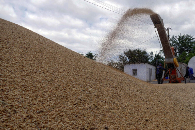 Germany’s railway operator plans Ukraine “grain bridge”