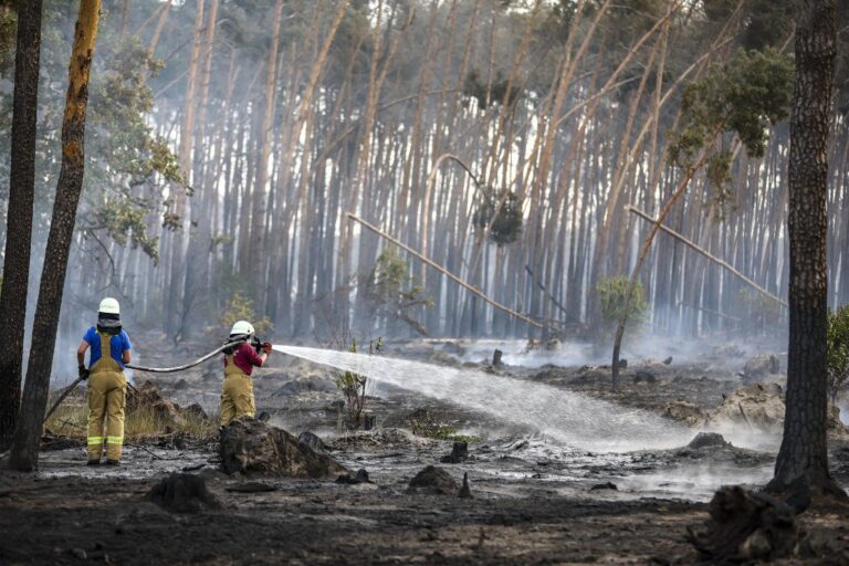 Evacuations as forest fires spread through eastern Germany