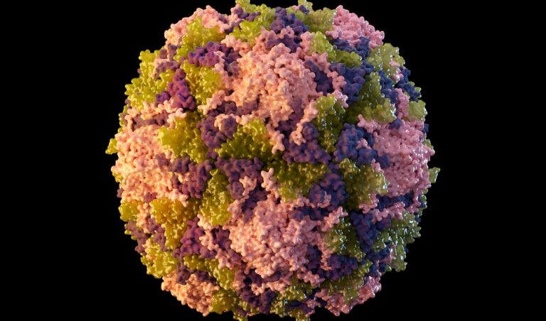 Polio detected in NYC’s sewage, suggesting virus circulating